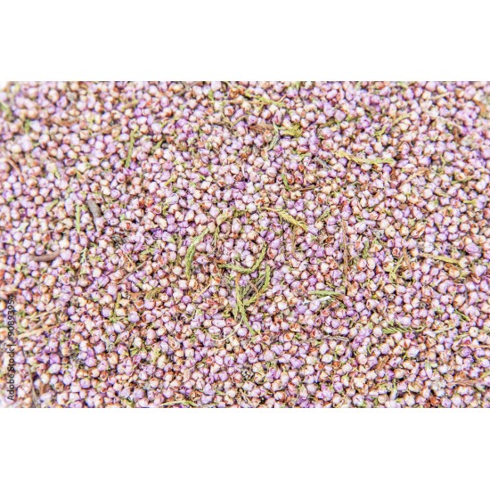 Bruyère (Calluna vulgaris) 50g