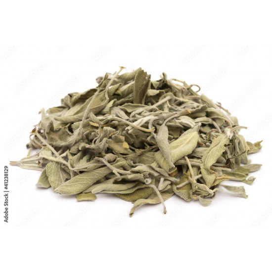 Sauge officinale (Salvia...