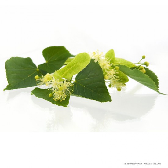 Tilleul (Tilia) 40g