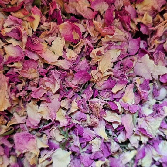 Pétale de rose de Damas...